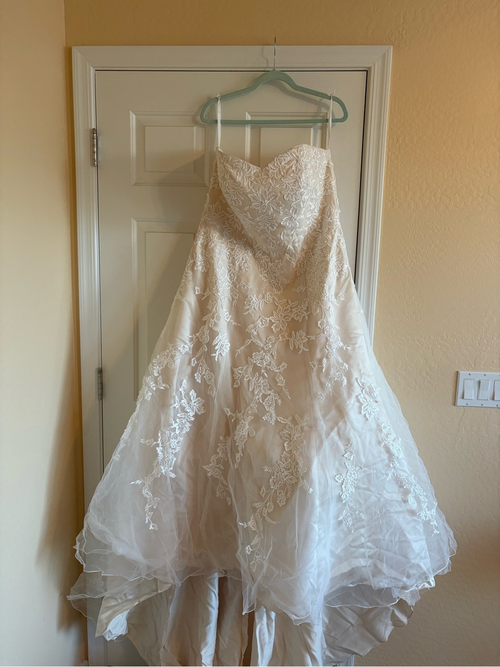 David's Bridal Ivory/Champagne Bridal Gown